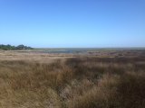 It was too windy for the beach yesterday, but the nature trail was beautiful.